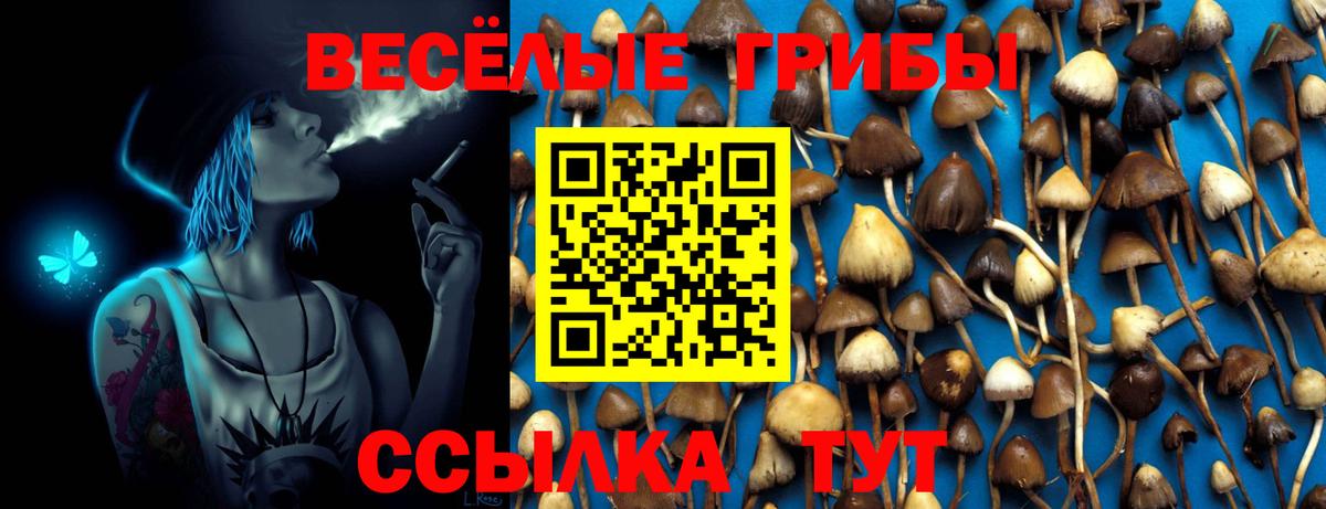 Красноуфимск  Псилоцибиновые грибы Magic Shrooms  Псилоцибиновые грибы ЛСД  Вход с VPN 